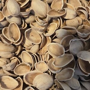 Natural Pistachio Shells